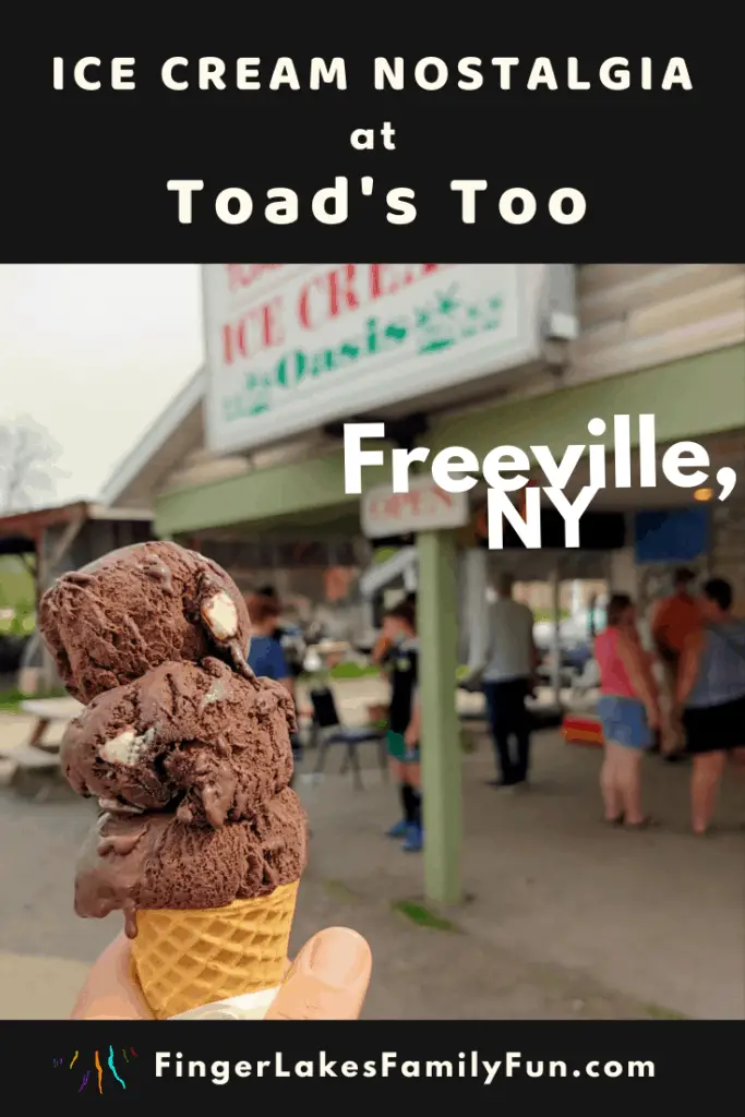 Ice cream nostalgia at Toad's Too Freeville NY