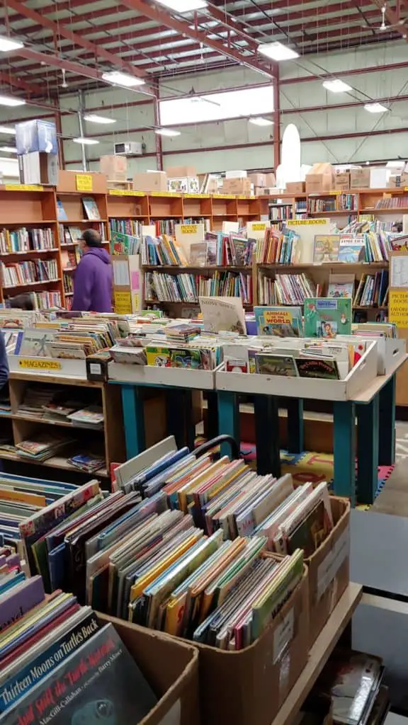 children's corner at the Ithaca Book Sale