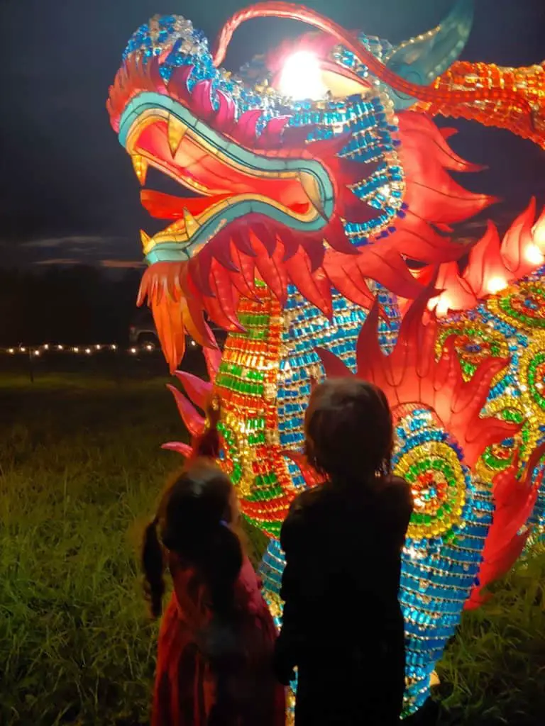 Chinese lions at Finger Lakes Festival of Lights