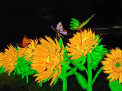 sunflower sculptures Finger Lakes Festival of Lights