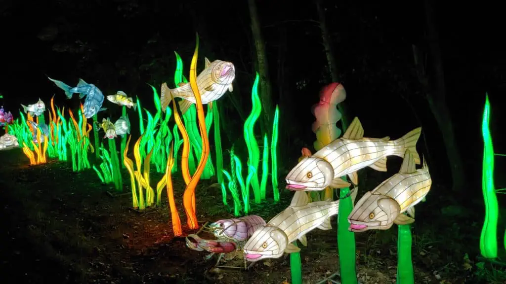 fish sculptures at Finger Lakes Festival of Lights