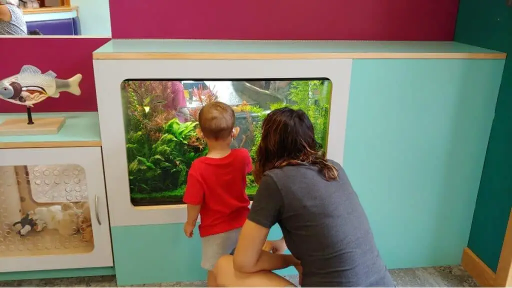 toddler and mom looking at aquarium