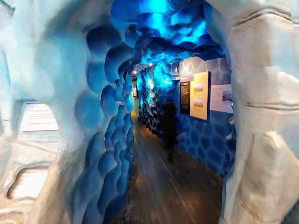 glacier tunnel, Museum of the Earth Ithaca