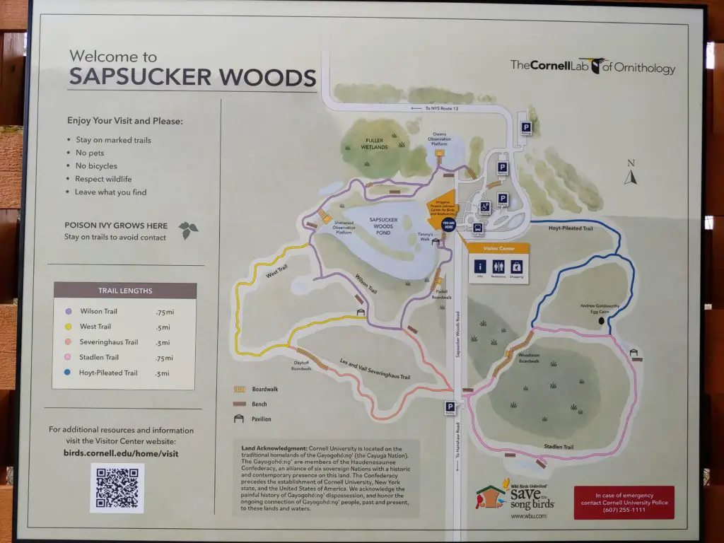 map of Sapsucker Woods