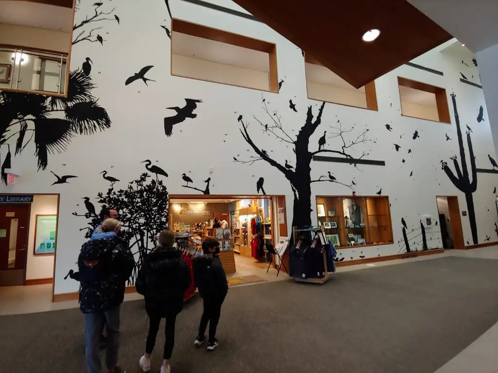 silhouette wall at Cornell Lab of Ornithology