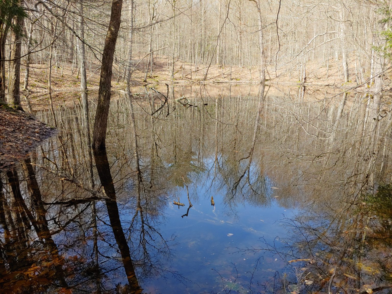 Hiking in the Footsteps of Glaciers at Ringwood Ponds in Ithaca, NY ...