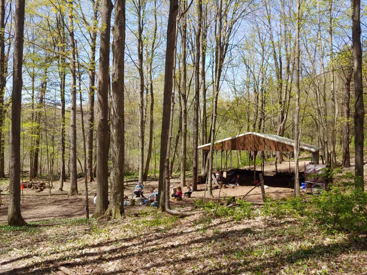 Hiking, Art, and Birds at Lime Hollow Nature Center in Cortland, NY ...