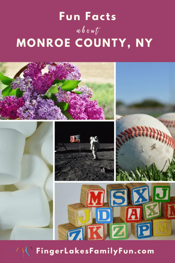 Fun facts Monroe county pin
