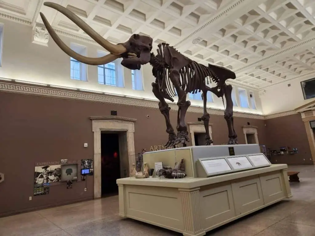 mastodon skeleton Buffalo Museum of Science