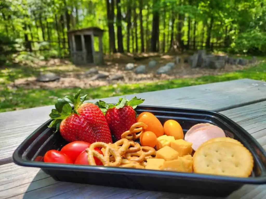 picnic container by Leapfrog playground Cumming Nature Center