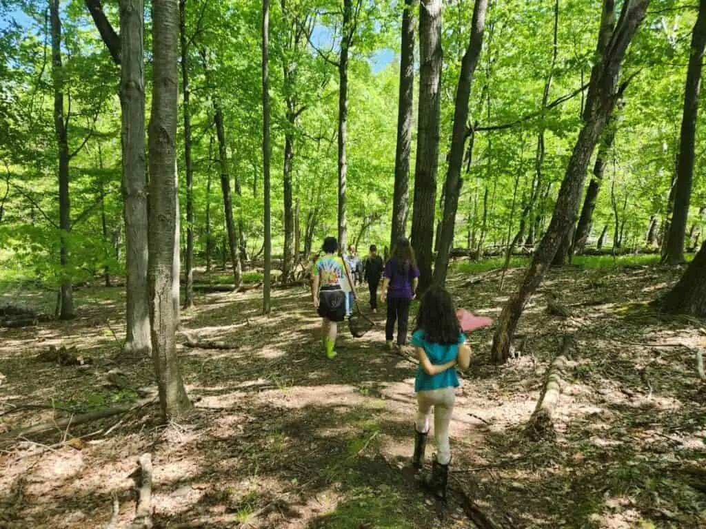 people walking on forest path