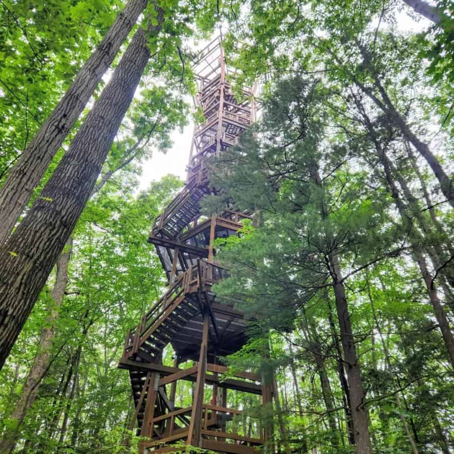 tall wooden tower in forest