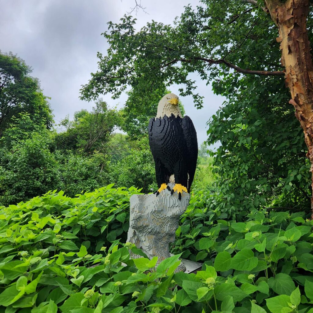 Lego bald eagle