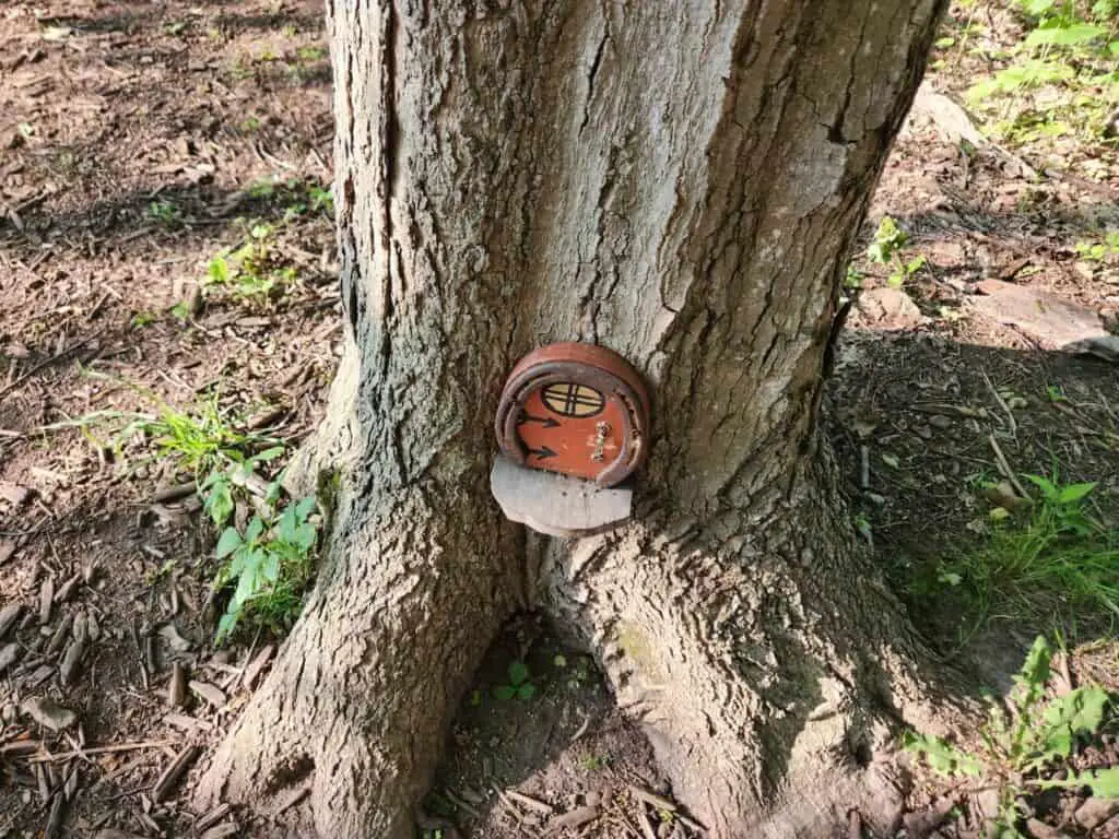 fairy door painted on tree
