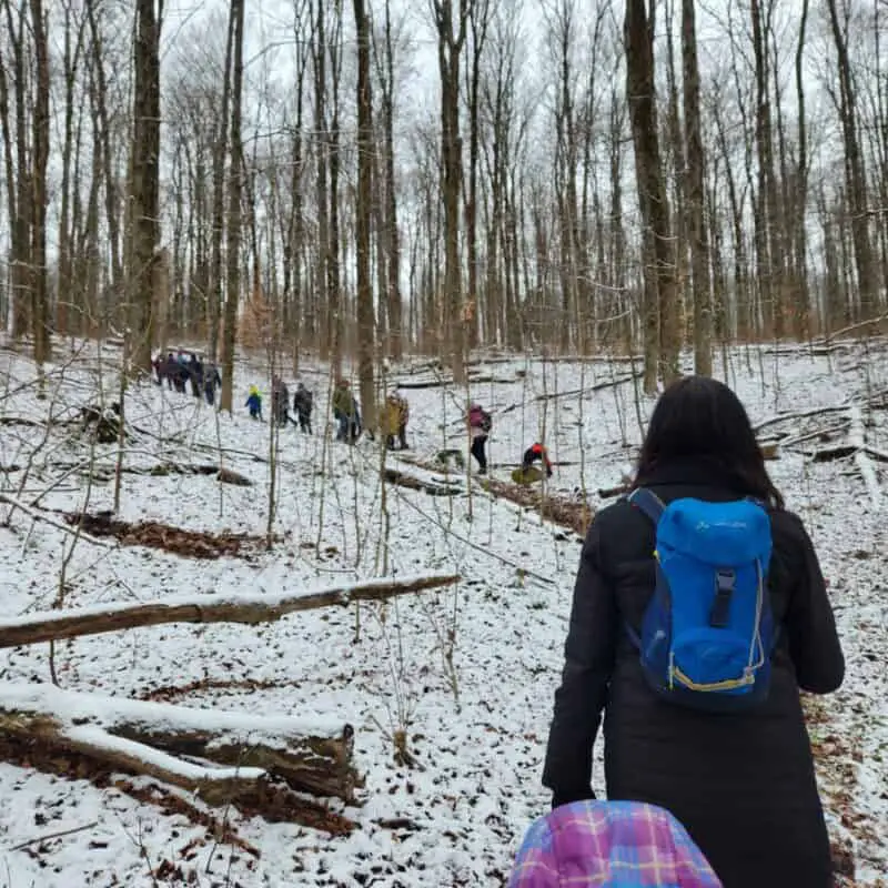 First Day Hikes in the Finger Lakes 2024 Finger Lakes Family Fun